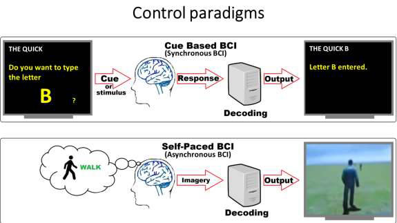 BCI Online Control Paradigm