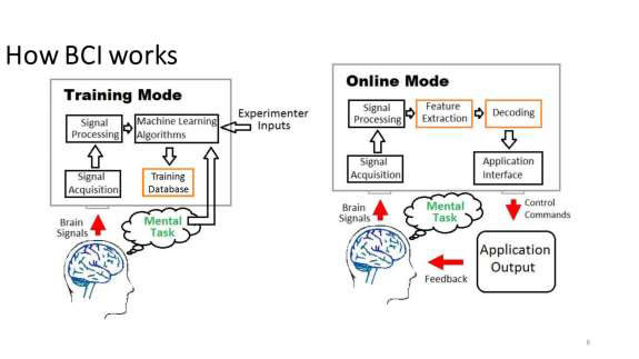 How BCI works